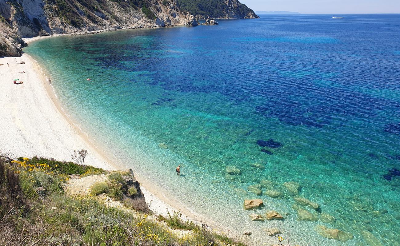 Фото Spiaggia Di Sansone с белая чистая галька поверхностью