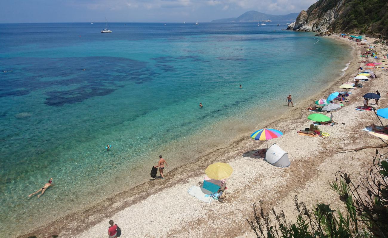 Фото Spiaggia di Seccione с белая галька поверхностью