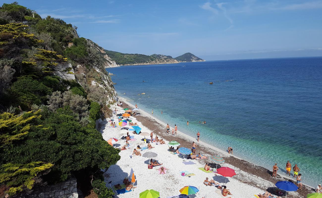 Фото Spiaggia di Capo Bianco с белый ракушечник поверхностью