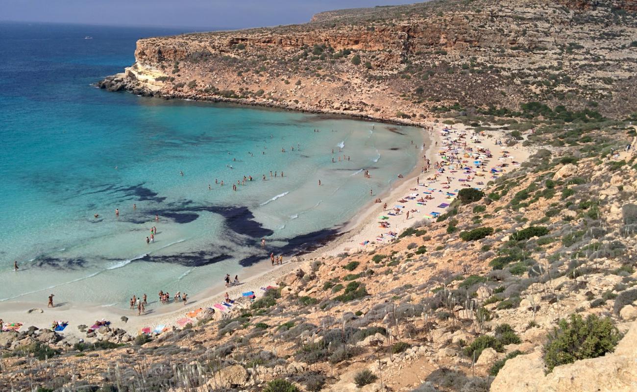 Фото Spiaggia Dei Conigli с золотистый песок поверхностью