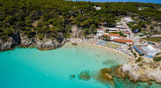 Spiaggia Tremiti (Cala delle arene)