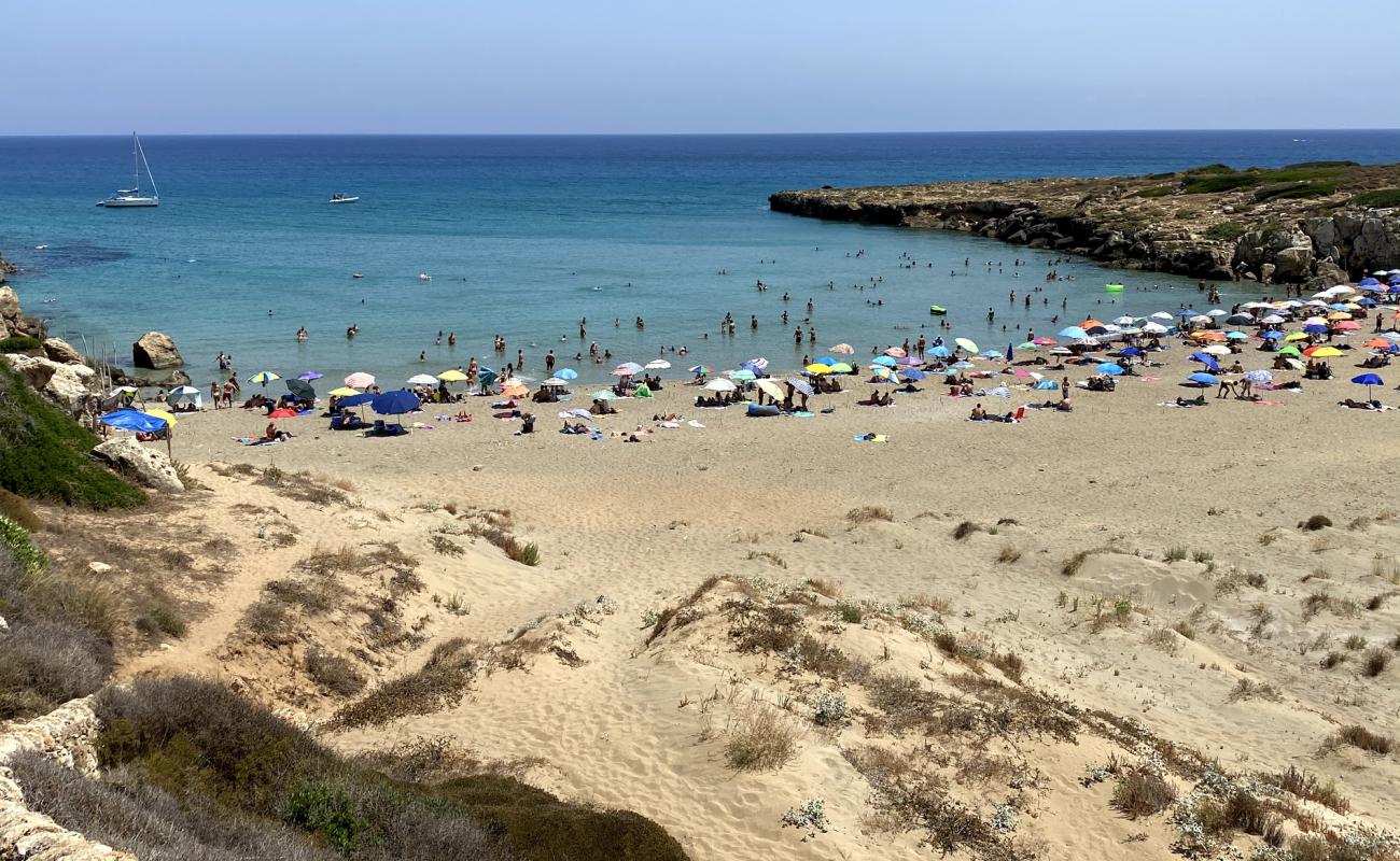 Фото Spiaggia di Calamosche с темный песок поверхностью