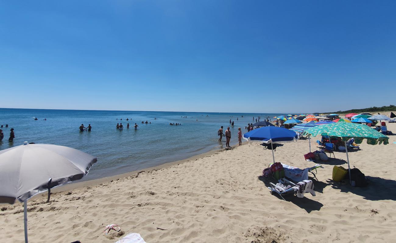 Фото Spiaggia Termitosa с темный песок поверхностью