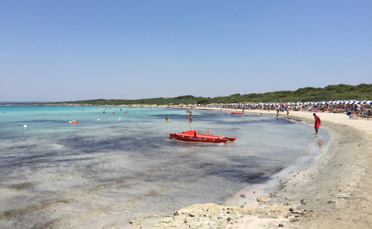 Фото Spiaggia di Punta Pizzo с светлый песок поверхностью