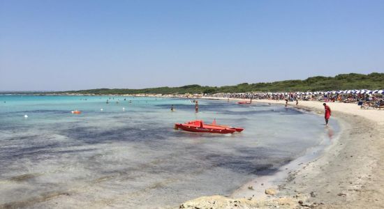 Spiaggia di Punta Pizzo