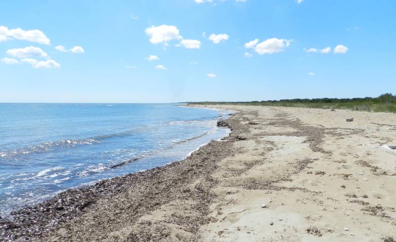 Фото Veneri beach с светлый песок поверхностью