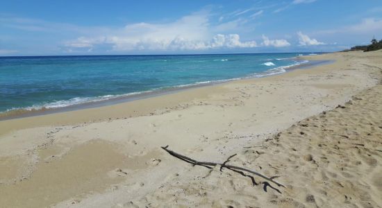 Lido Sunny Bay beach