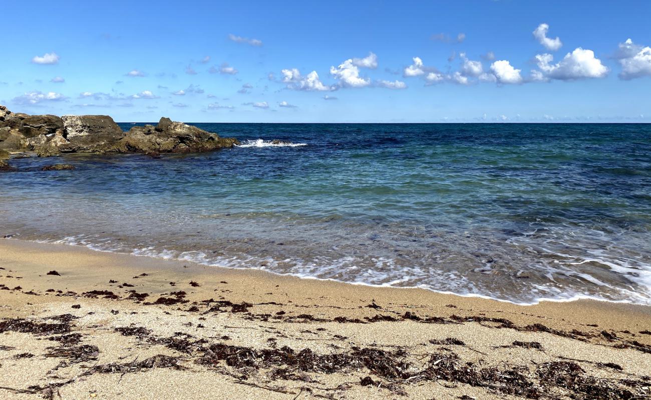 Фото Cala Settanni beach с светлый песок поверхностью