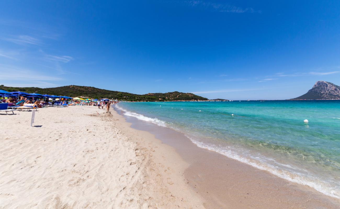 Фото Spiaggia Porto Taverna с золотистый песок поверхностью