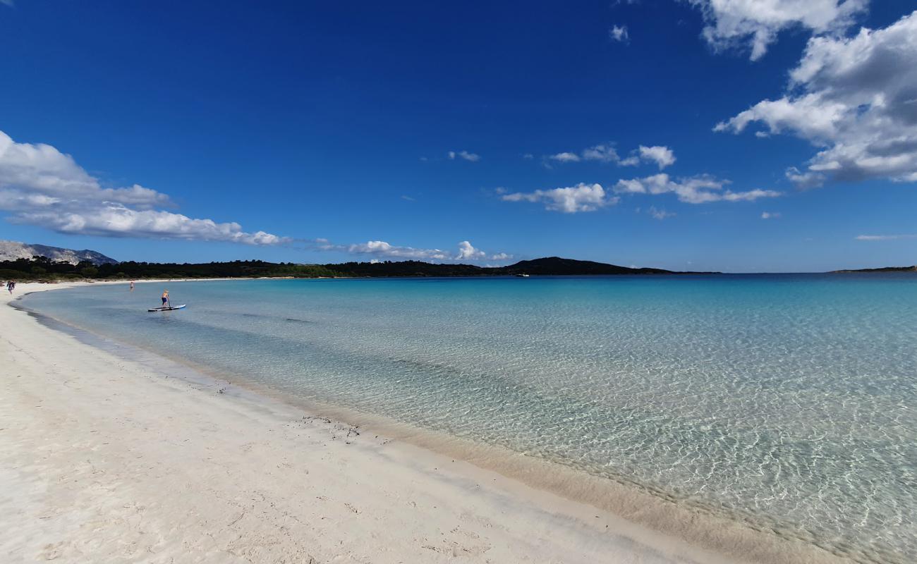 Фото Cala Brandinchi с золотистый песок поверхностью