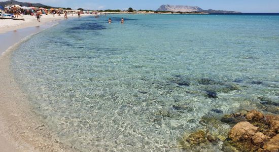 Spiaggia Isuledda