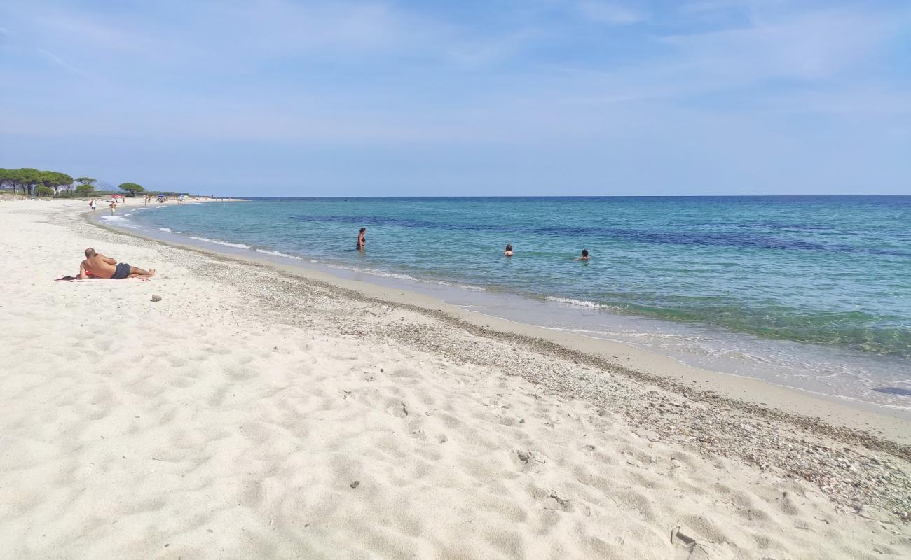 Фото Spiaggia per Cani с золотистый песок поверхностью