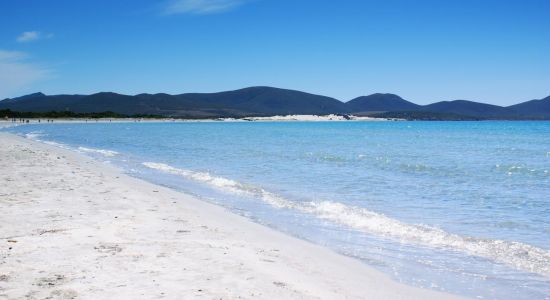 Spiaggia Di Porto Pino