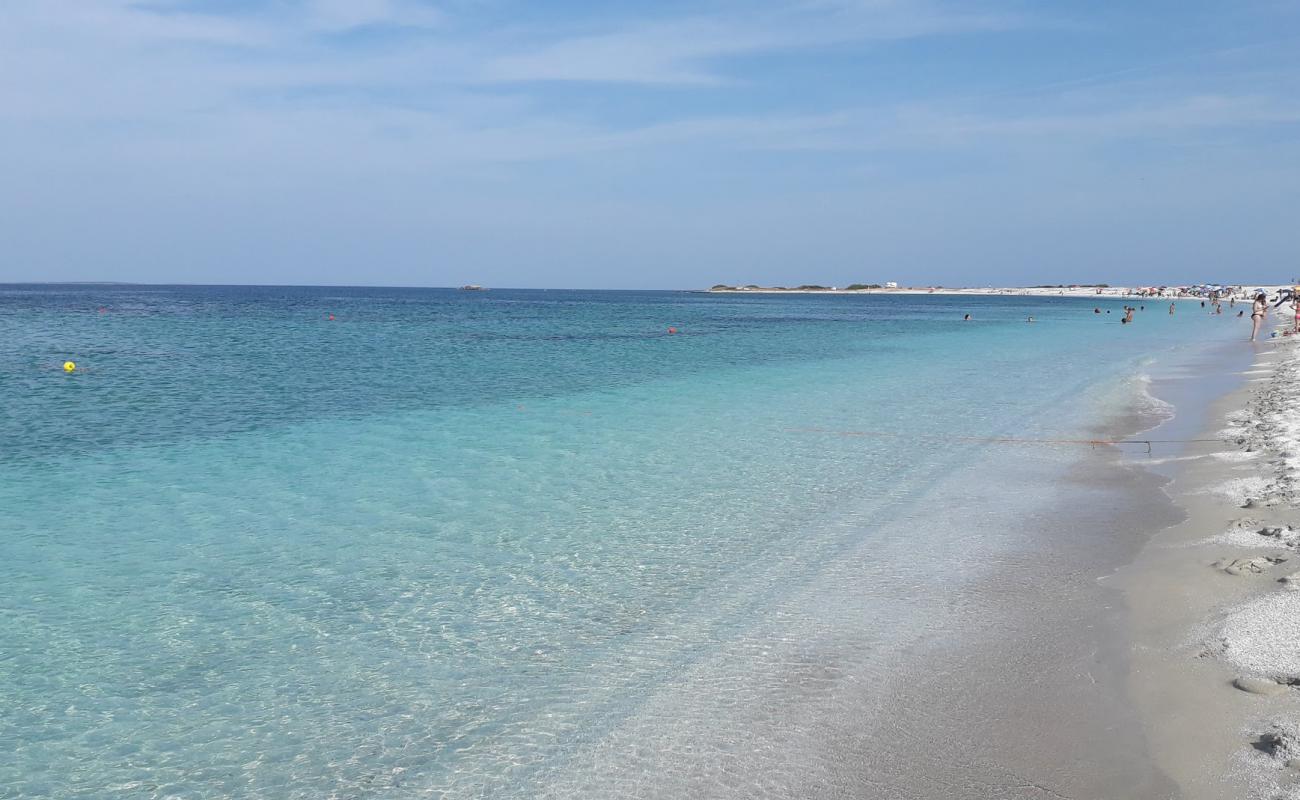 Фото Spiaggia Di Mari Ermi с белый песок поверхностью