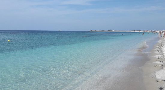 Spiaggia Di Mari Ermi