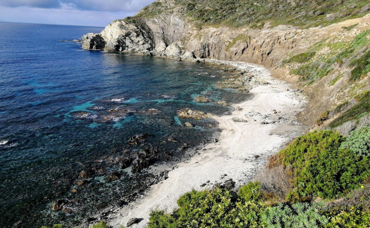 Фото Cala di Punta Agliastroni с песок с камнями поверхностью