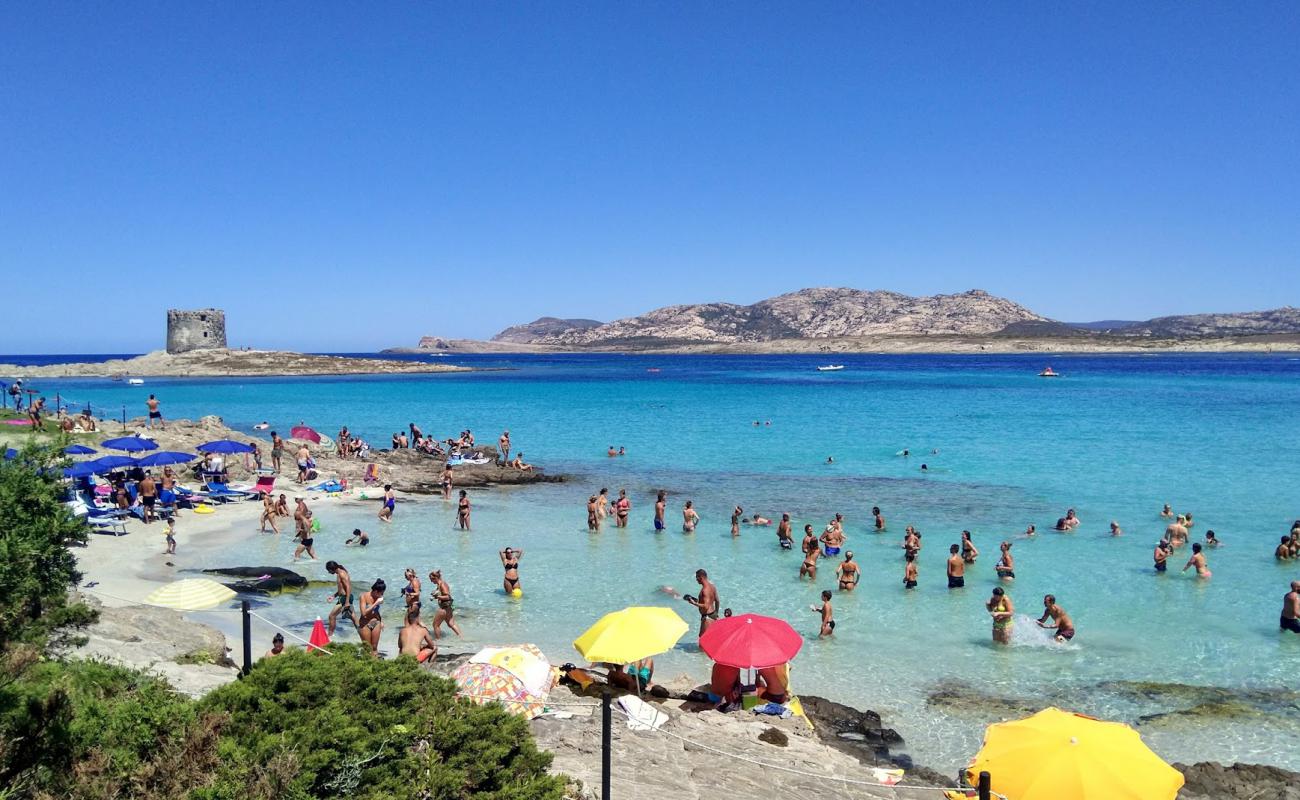 Фото Spiaggia della Pelosa с золотистый песок поверхностью