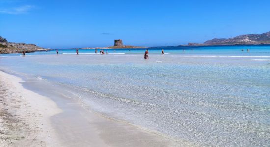 Spiaggia della Pelosa