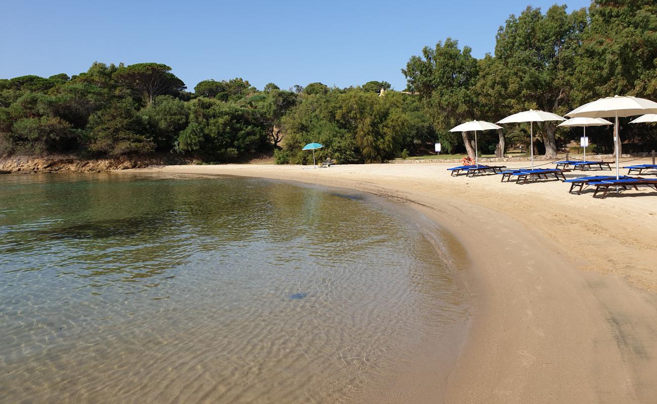 Фото Spiaggia di Cala Capra с золотистый песок поверхностью