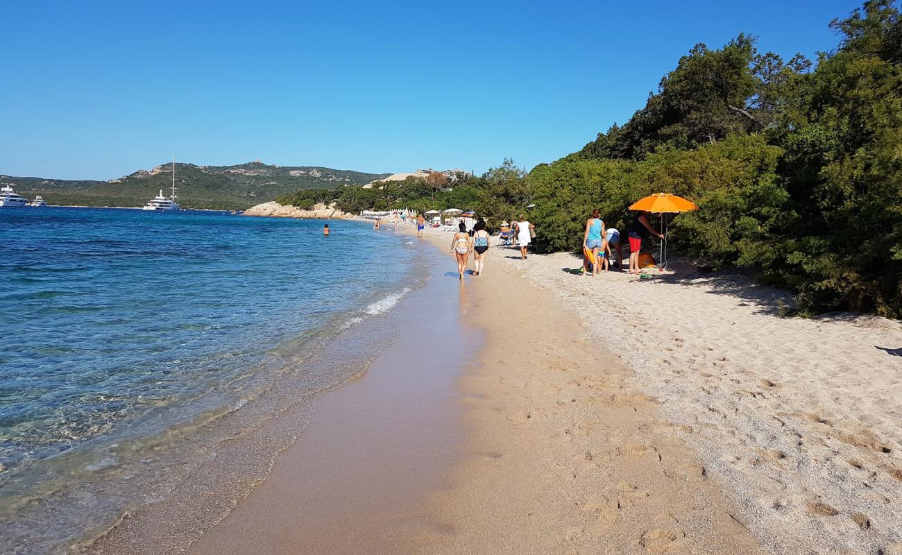 Фото Spiaggia La Celvia с белая чистая галька поверхностью