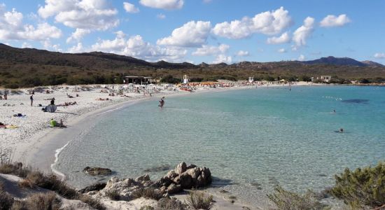 Spiaggia di Portisco