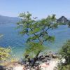 Spiaggia delle Cinque Arcate di Castelveccana