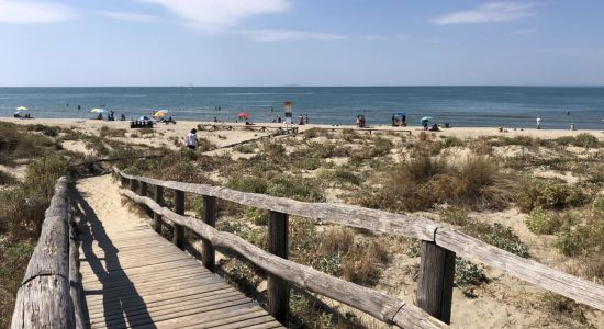 Spiaggia Libera Tirrenia