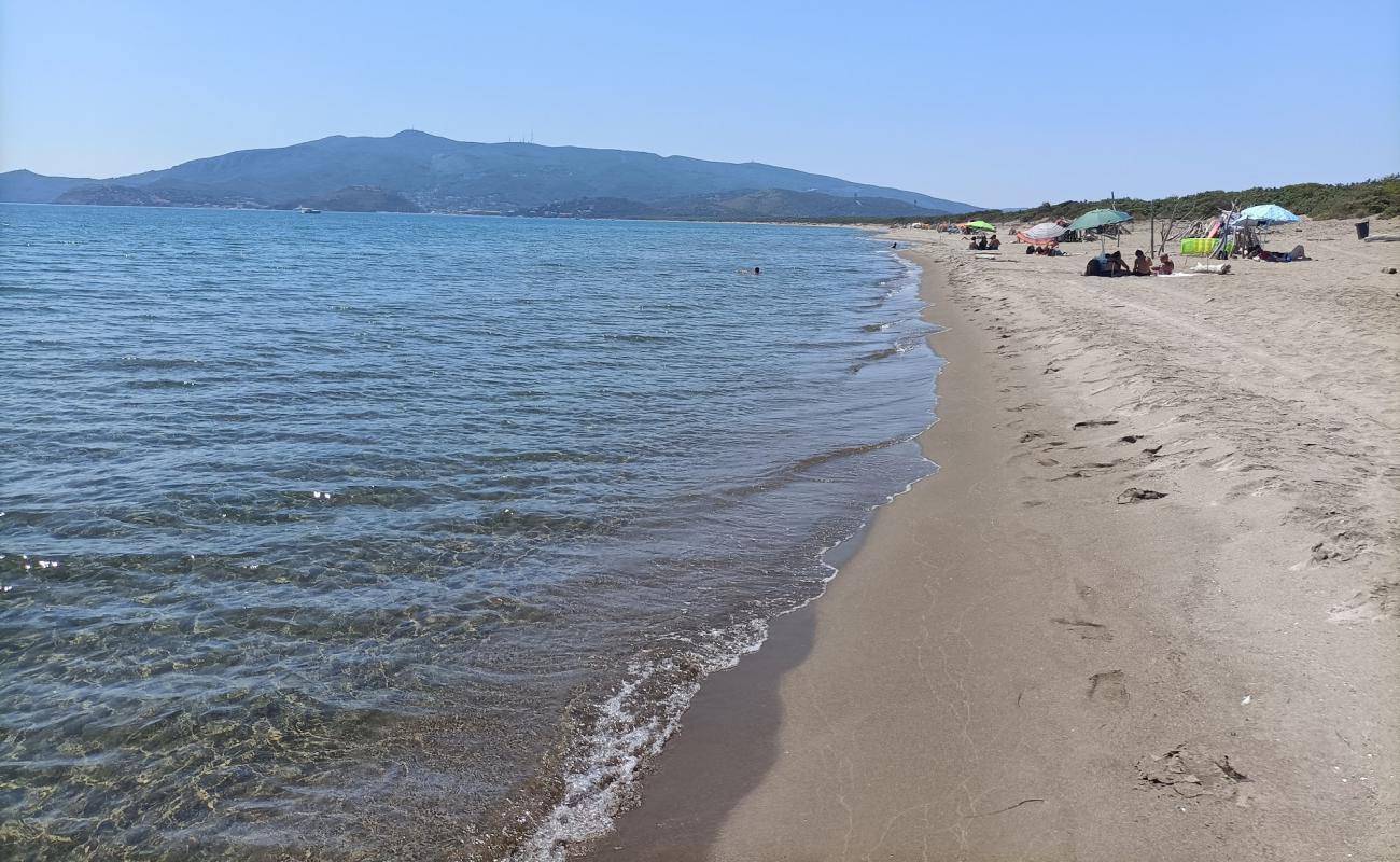 Фото Spiaggia Feniglia с светлый песок поверхностью