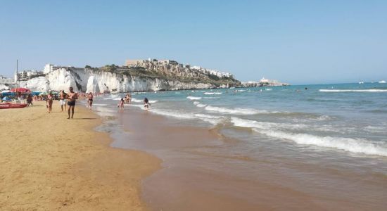 Spiaggia Pizzomunno