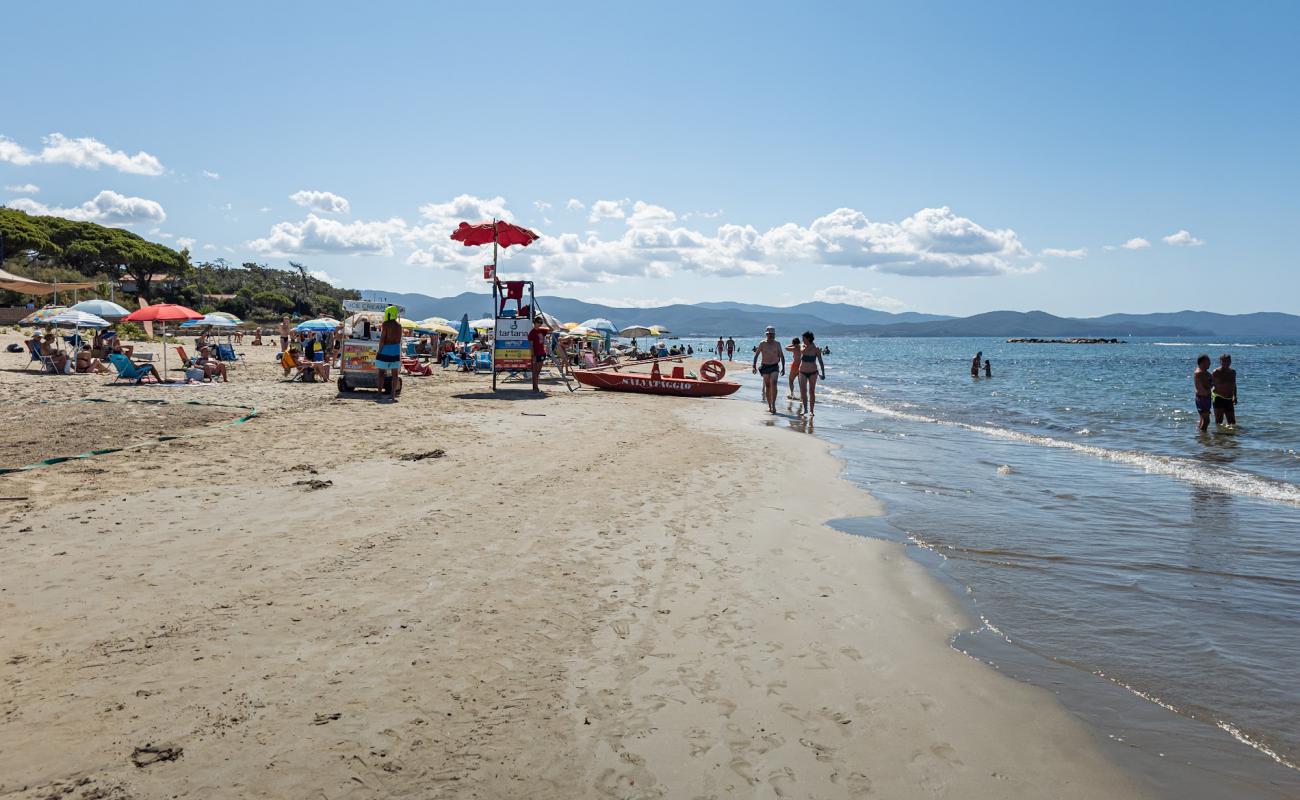 Фото Spiaggia Golfo del Sole с светлый песок поверхностью