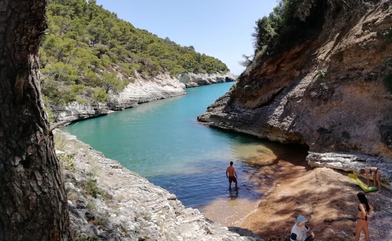 Фото Spiaggia di Cala della Sanguinara с белая чистая галька поверхностью