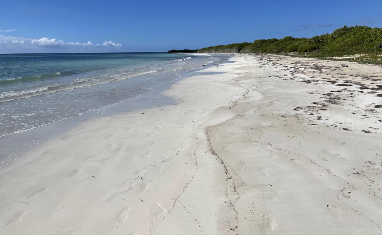 Фото Jackson Bay Beach с золотистый песок поверхностью