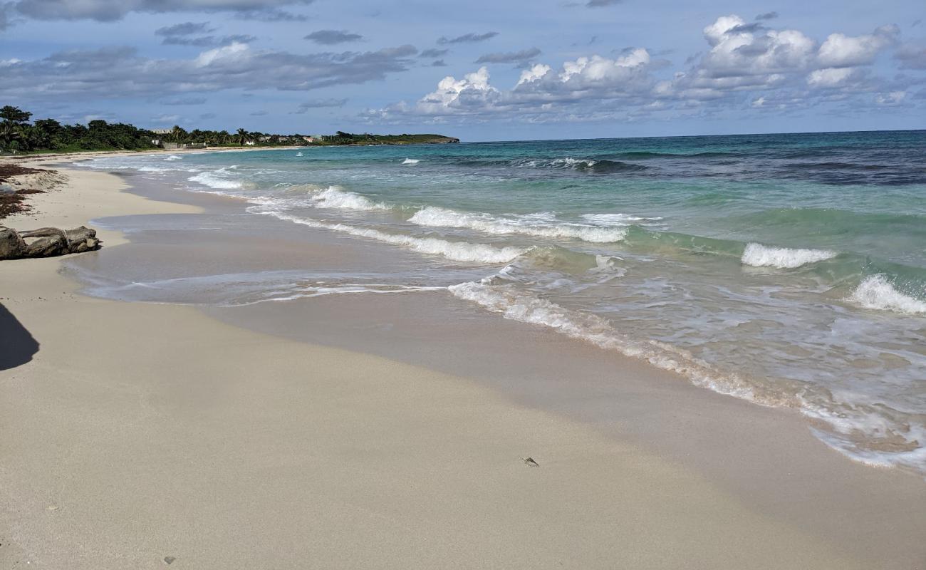 Фото Long Bay Beach с золотистый песок поверхностью