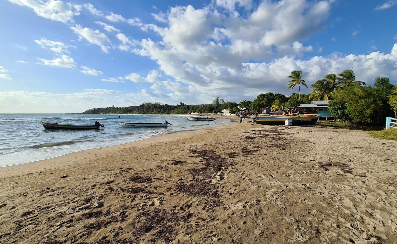 Фото Frenchman Beach с золотистый песок поверхностью