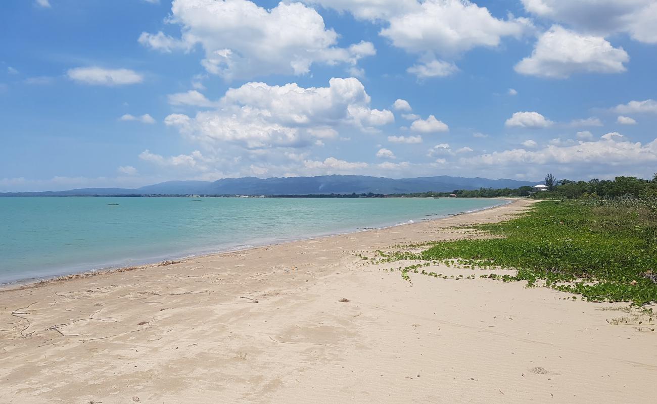 Фото Parotee Free Beach с золотистый песок поверхностью