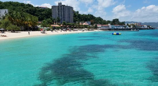 Doctor's Cave Beach