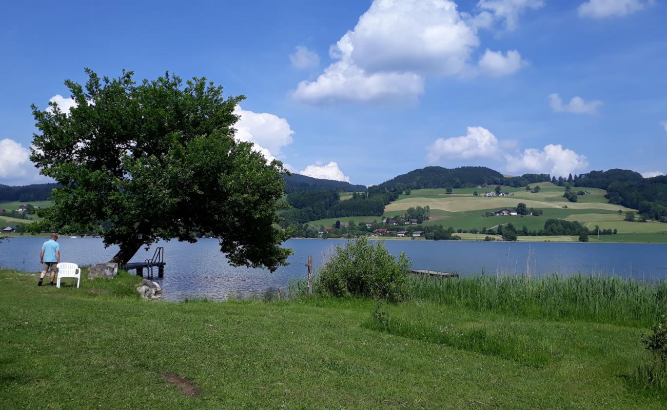 Фото Campingplatz Fischhof с трава поверхностью