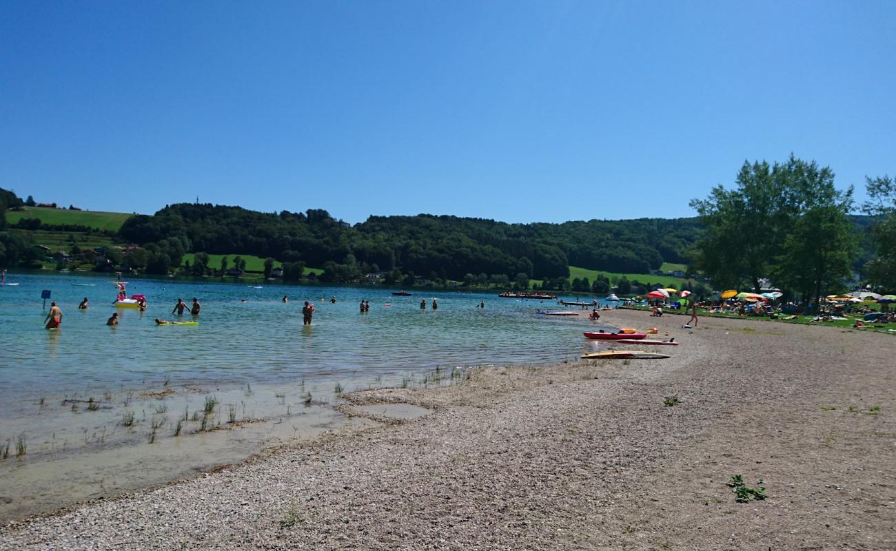 Фото Strandbad Mattsee с трава поверхностью