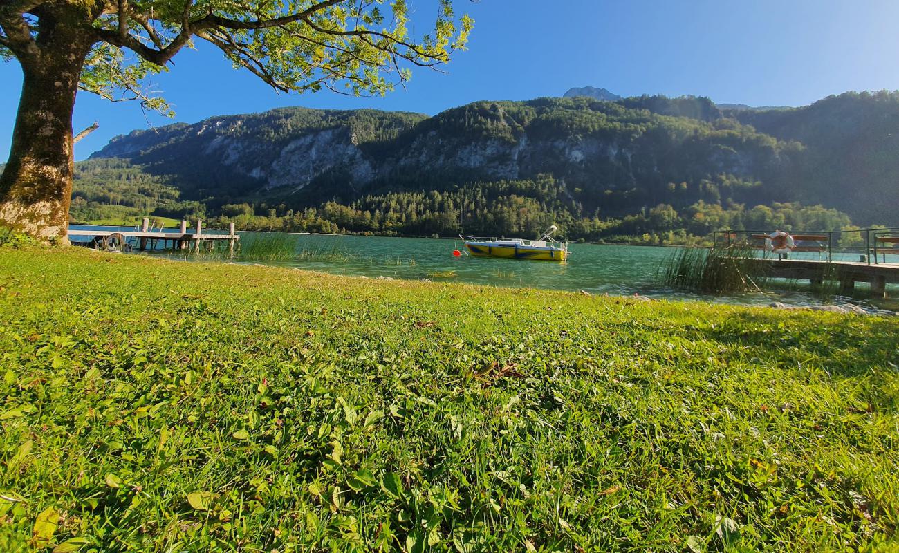 Фото Strandbad Mondsee с трава поверхностью