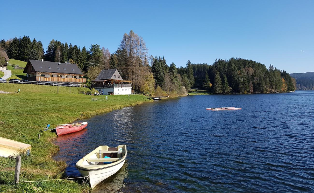 Фото Seebad Packer Stausee с трава поверхностью