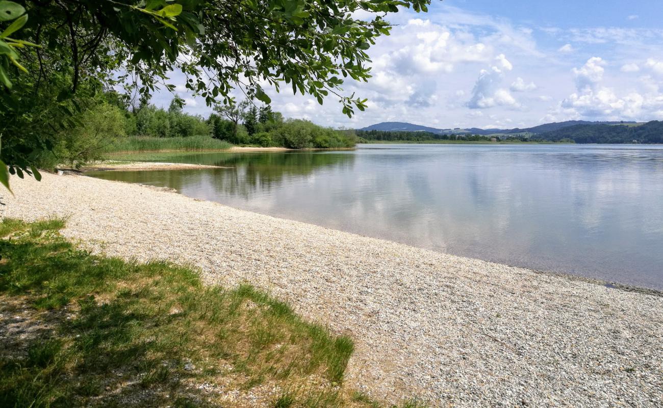 Фото Naturstrandbad Zell am Wallersee с трава поверхностью