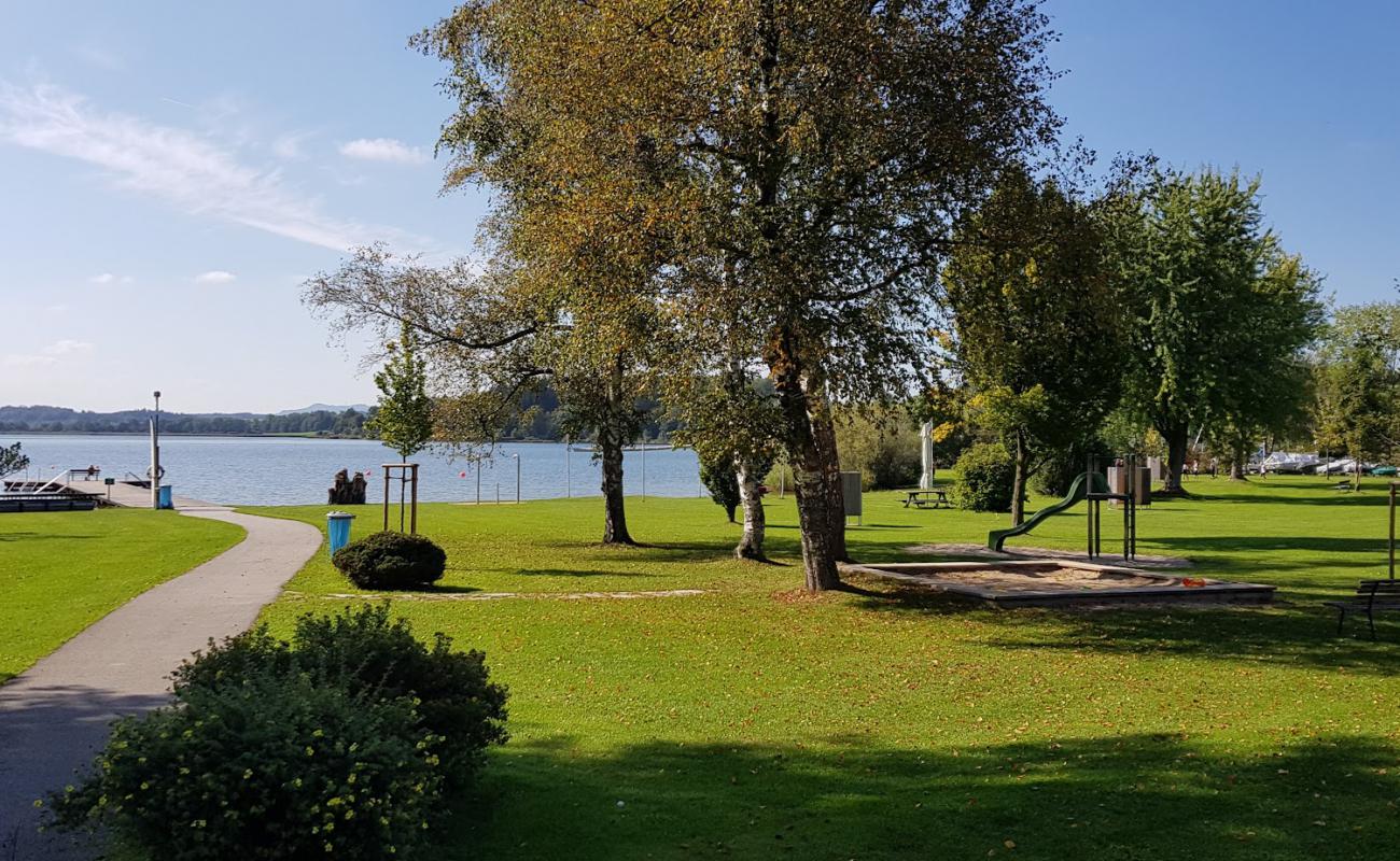 Фото Wallersee Strand с трава поверхностью