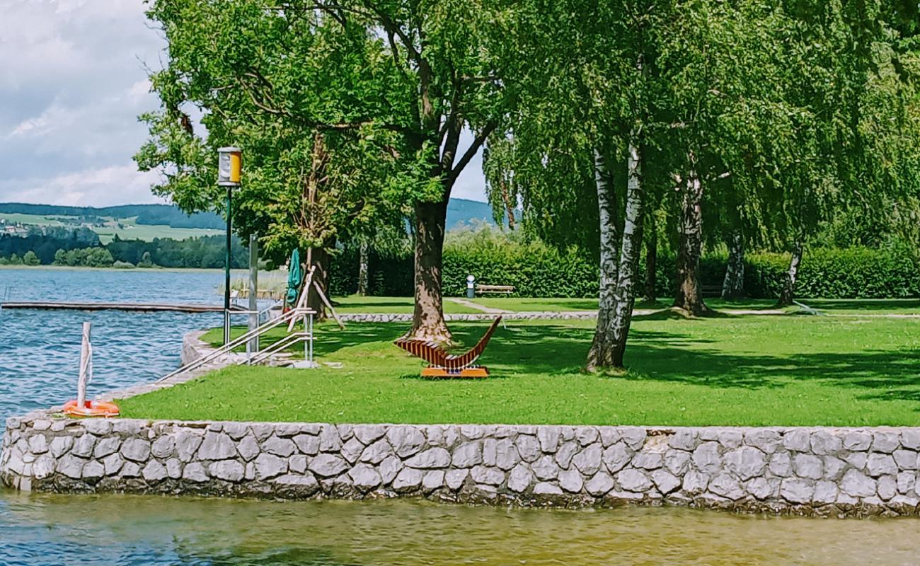 Фото Strandbad Henndorf с трава поверхностью