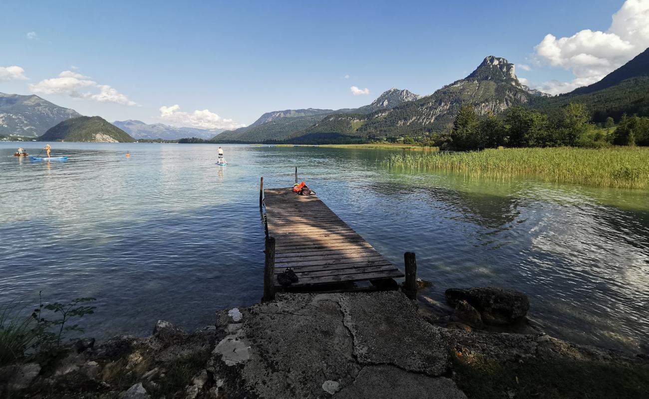 Фото Zirlerhof Strand с трава поверхностью