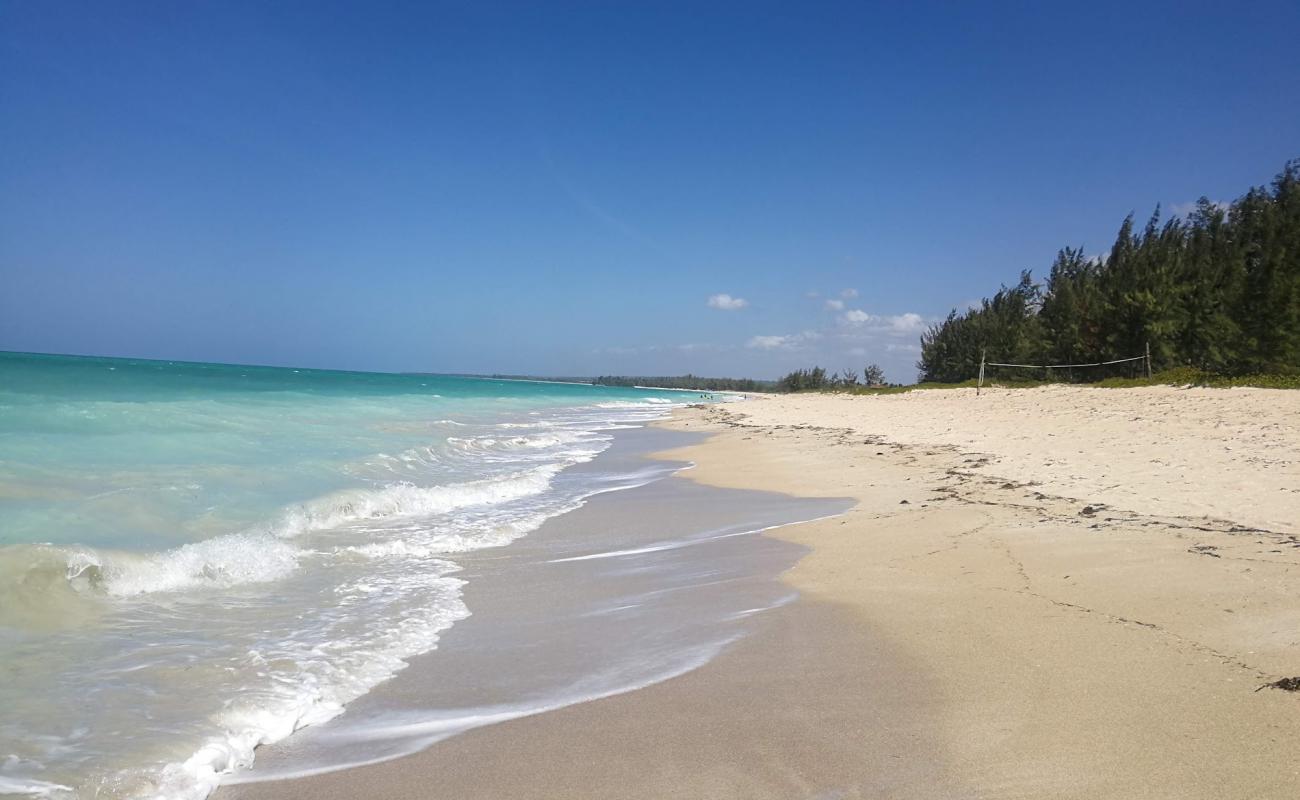 Фото Maweni Beach с светлый песок поверхностью