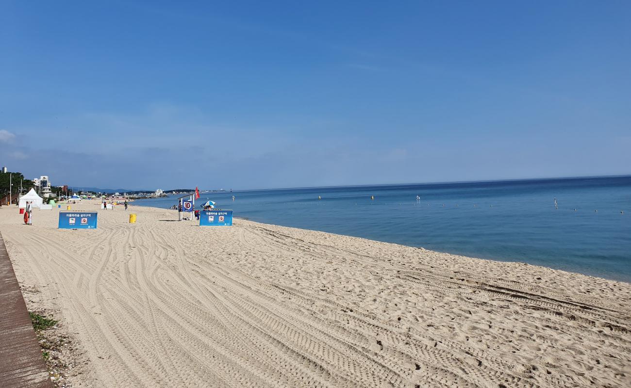 Фото Gyeongpo Beach с светлый песок поверхностью