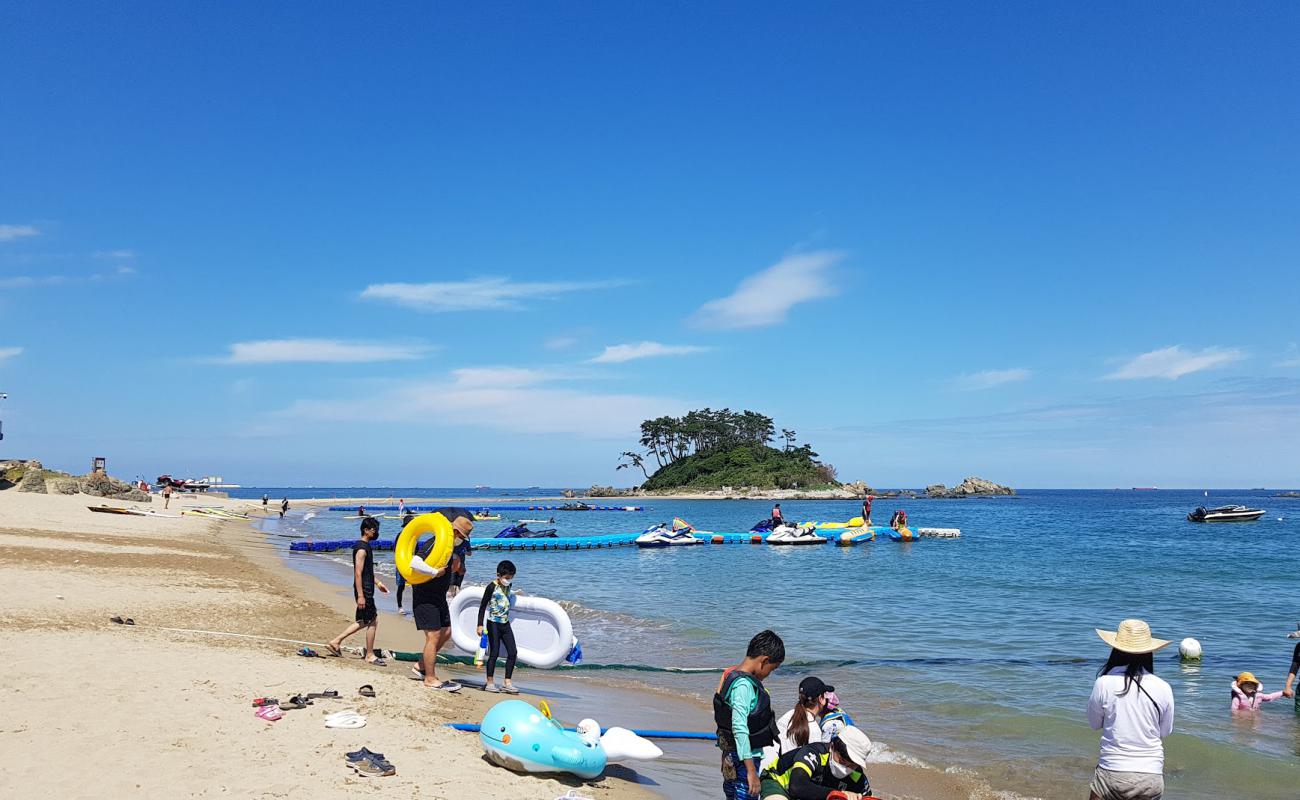 Фото Jinha Beach с светлый песок поверхностью