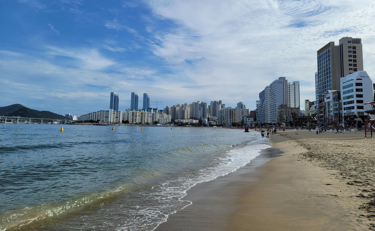 Фото Gwangalli Beach с золотистый песок поверхностью