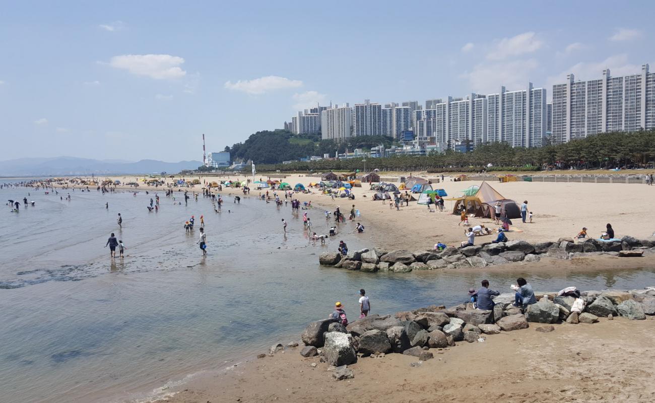 Фото Dadaepo Beach с светлый песок поверхностью