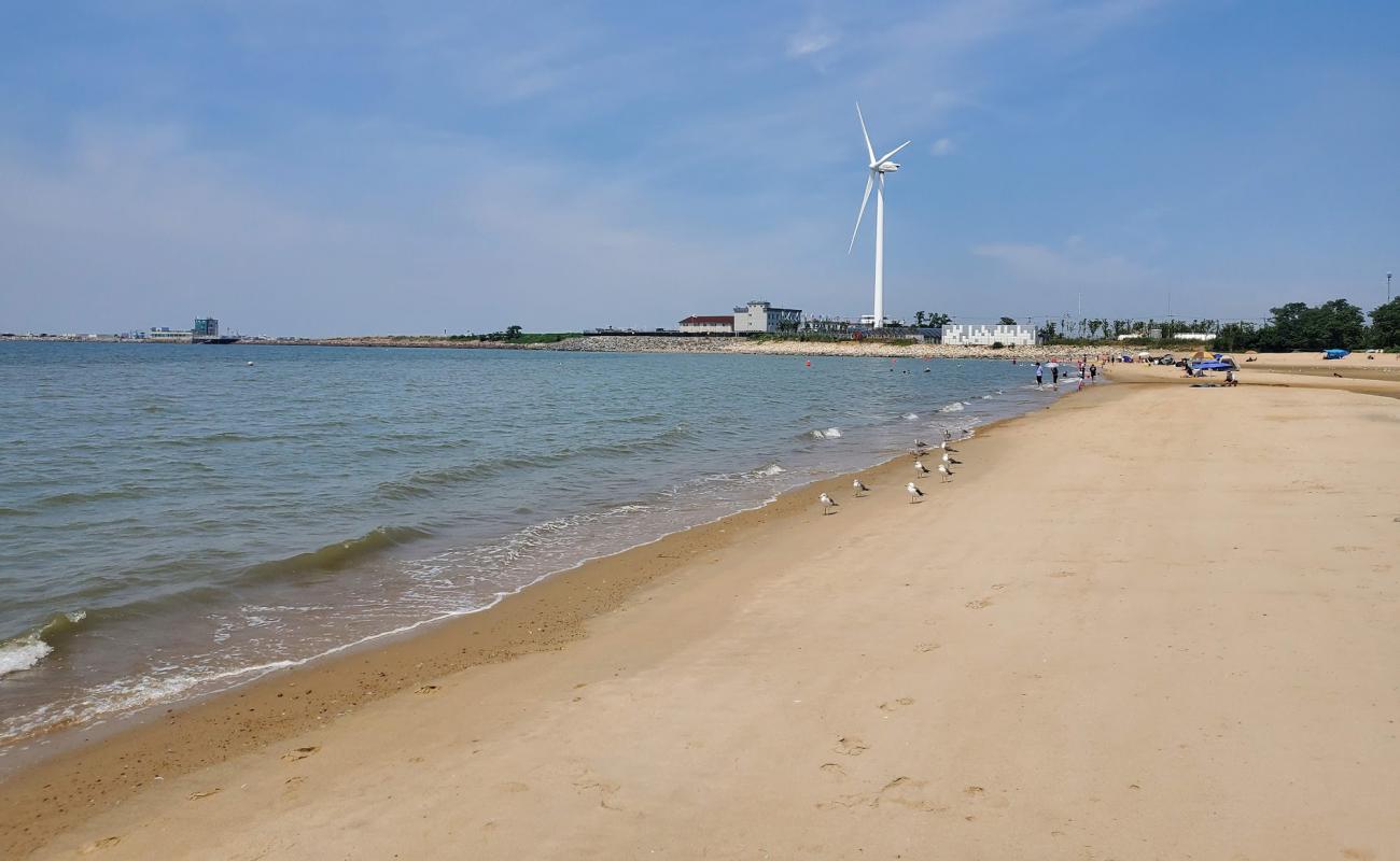 Фото Daebuduk Beach с светлый песок поверхностью